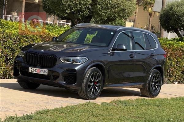 BMW X5 2022 for sale in Iraq - Erbil